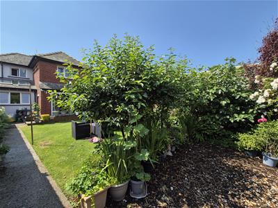 Picture 20